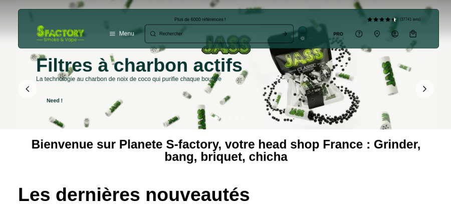 Aperçu de la page d'accueil de S Factory