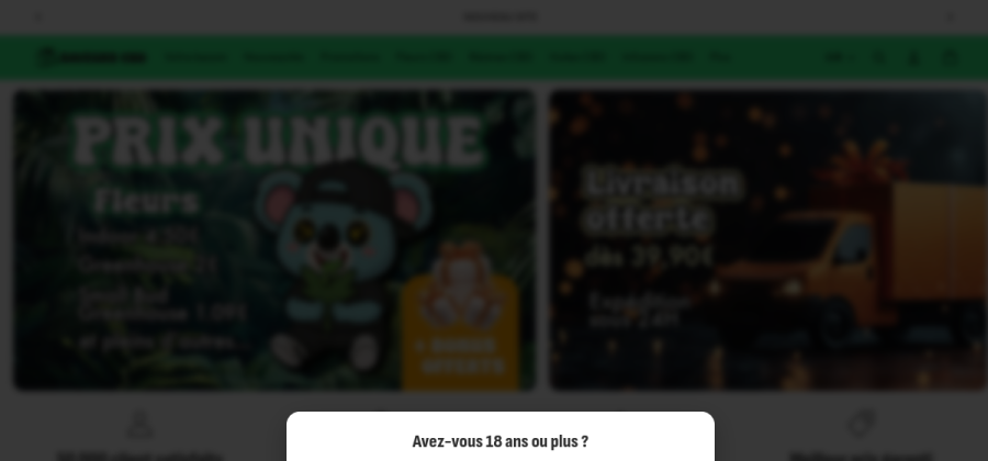 Aperçu de la page d'accueil de Saveurs CBD