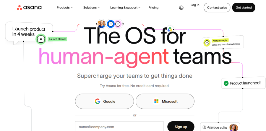 Asana screenshot