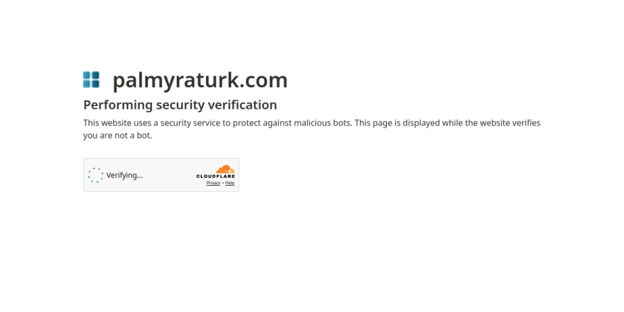 Palmyra Turk