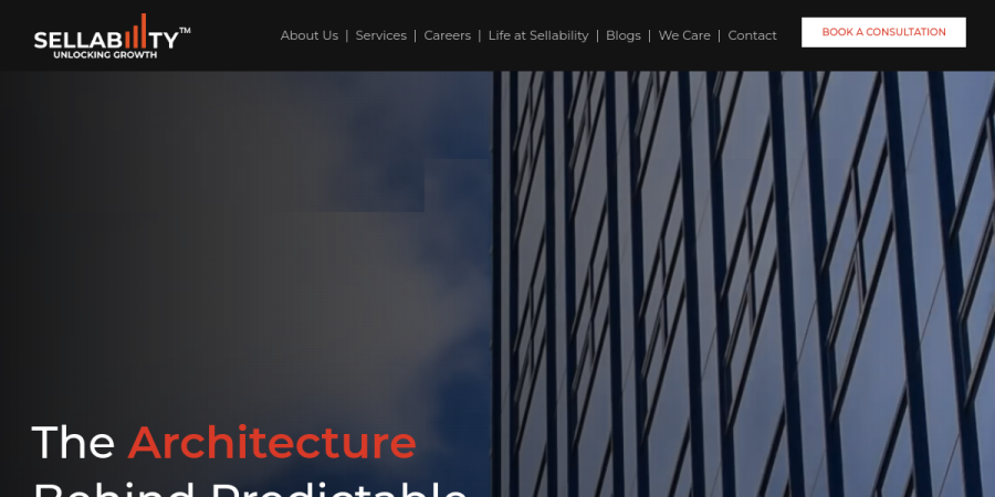 Sellability website preview