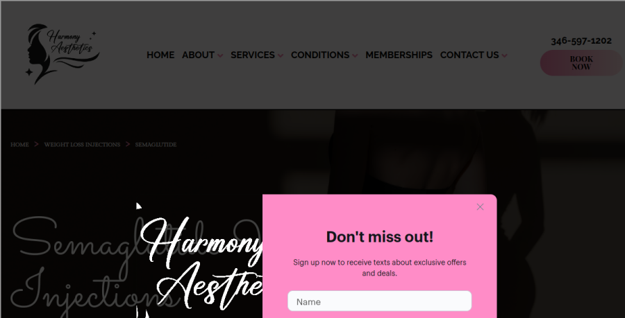 Screenshot of Harmony Aesthetics Spa - Spring, TX website