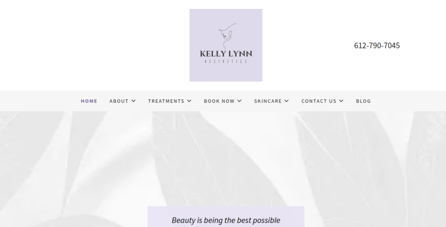 Screenshot of Kelly Lynn Aesthetics website