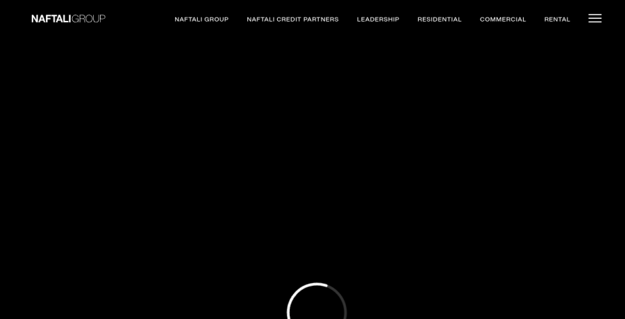Screenshot of Naftali Group website