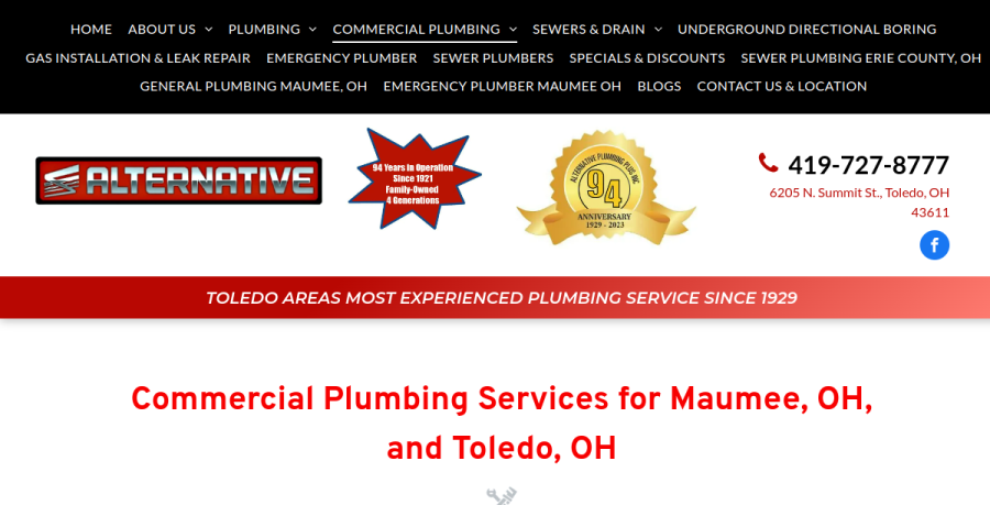 Screenshot of Alternative Plumbing Plus Inc website