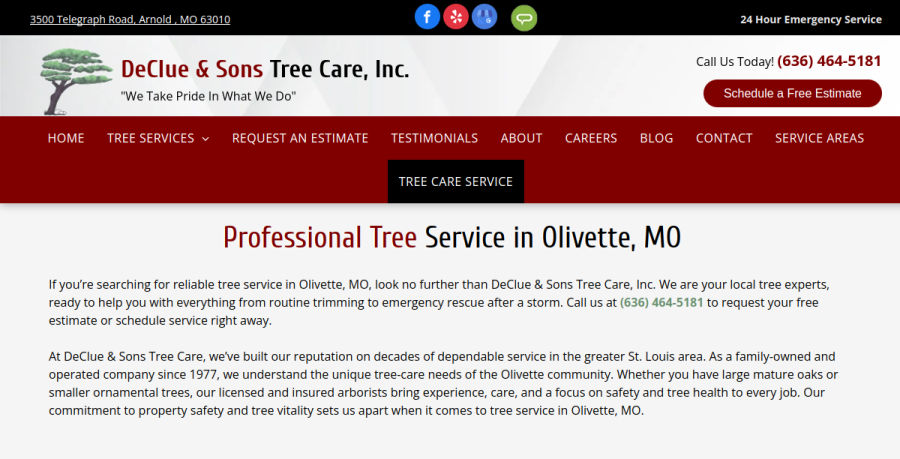 Screenshot of DeClue & Sons Tree Care, Inc. website
