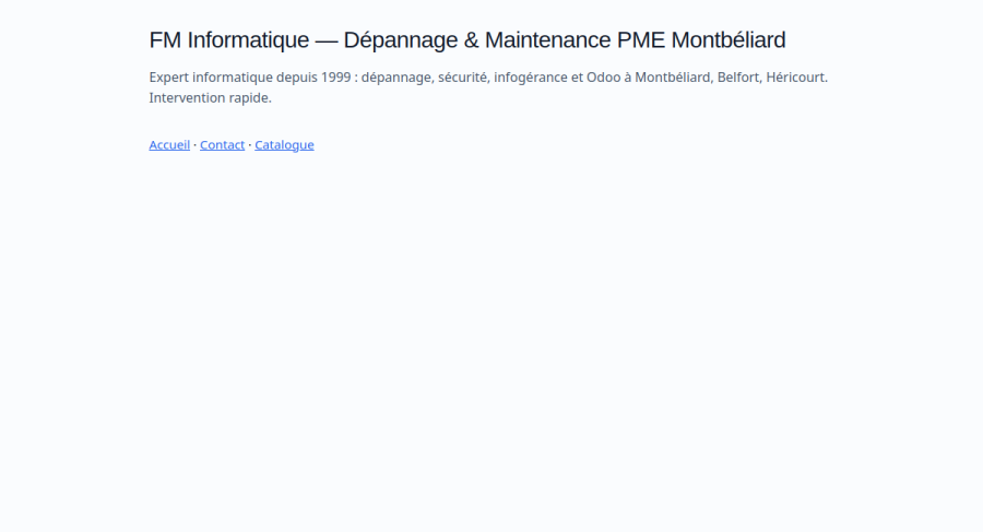 Capture du site FM Informatique
