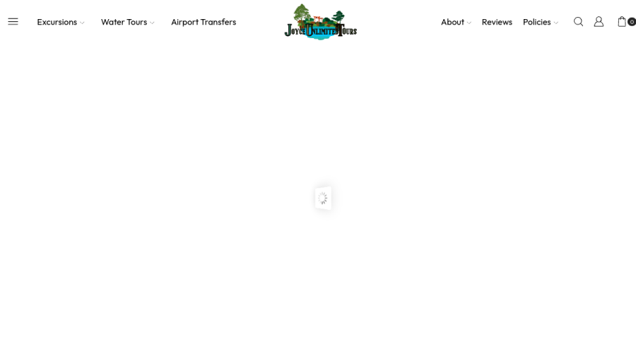 Joyce Unlimited Tours — website by Ezy Web Pro