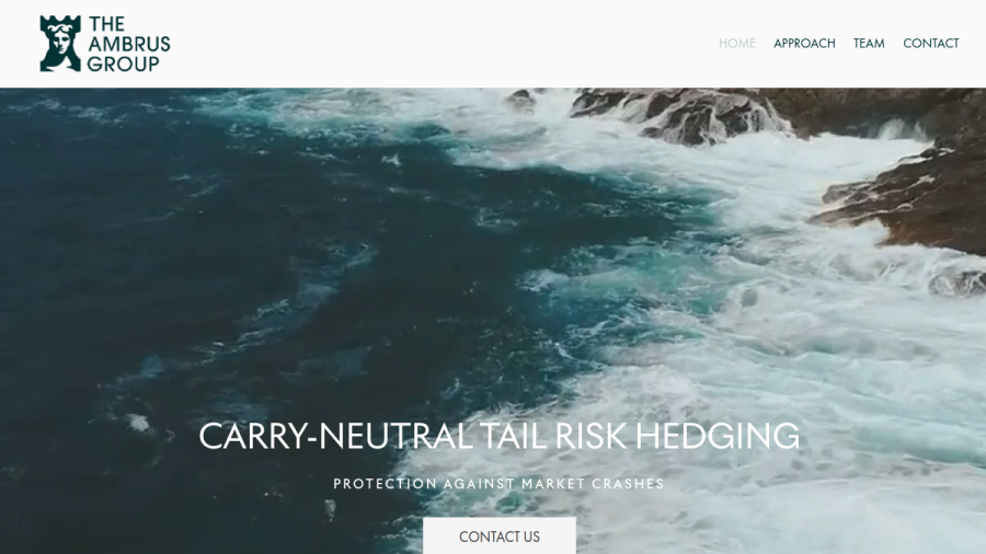 Screenshot of the The Ambrus Group LLC website