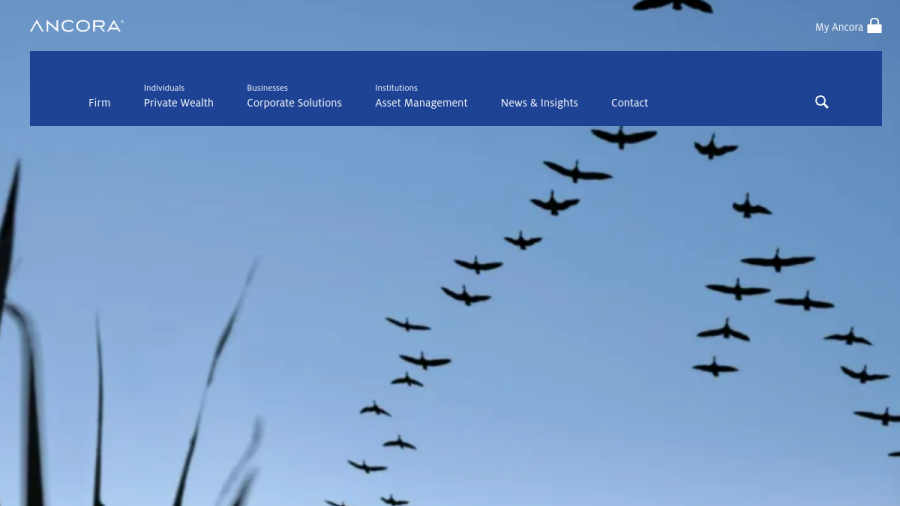 Screenshot of the Ancora Private Wealth Advisors, LLC website