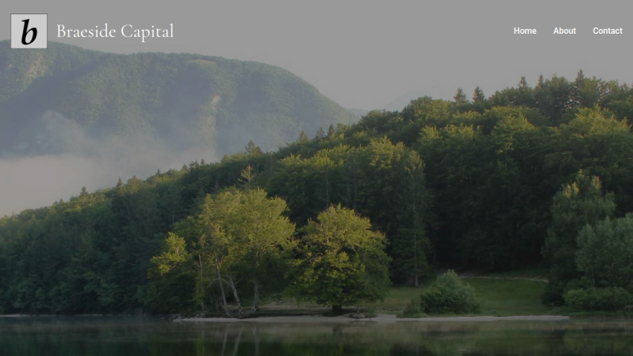 Screenshot of the Braeside Investments, LLC website