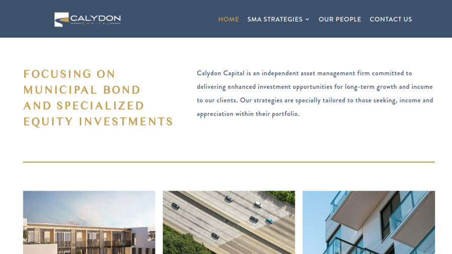 Screenshot of the Calydon Capital, LLC website