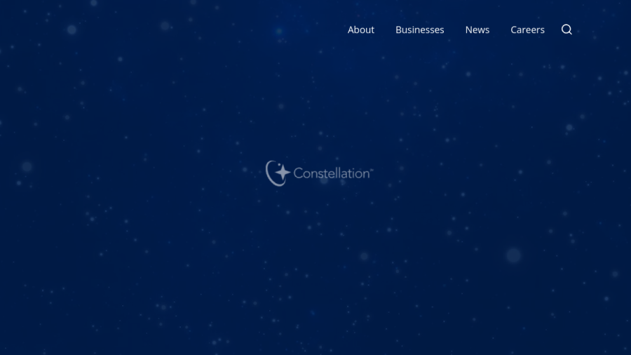 Screenshot of the Constellation Investments, INC. website