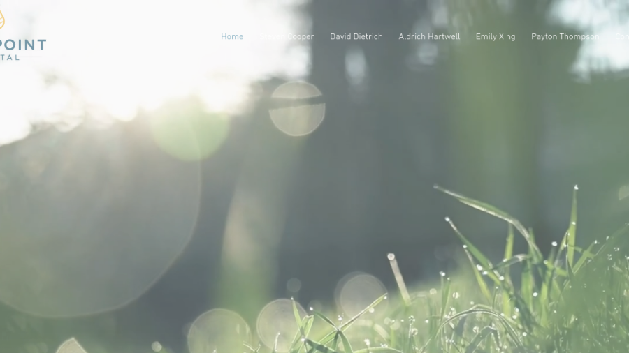 Screenshot of the Dew Point Capital website