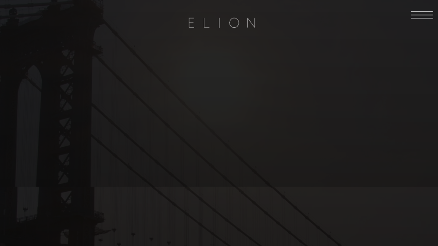 Screenshot of the Elion Partners, LLC website