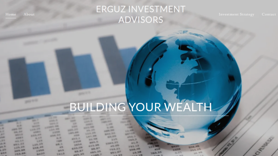 Screenshot of the Erguz, LLC website