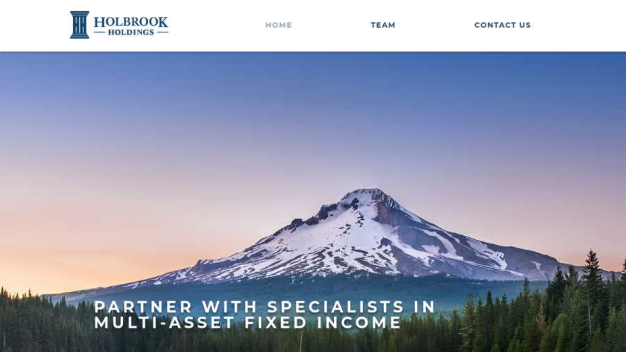 Screenshot of the Holbrook Holdings, INC. website