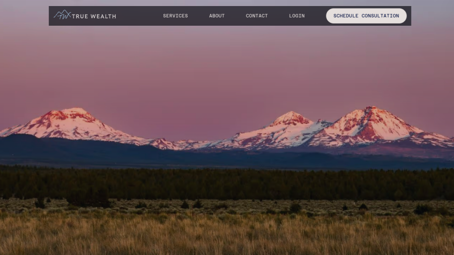 Screenshot of the True Wealth Group website
