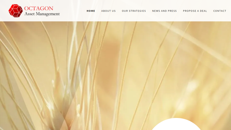 Screenshot of the Octagon Asset Management, LLC website