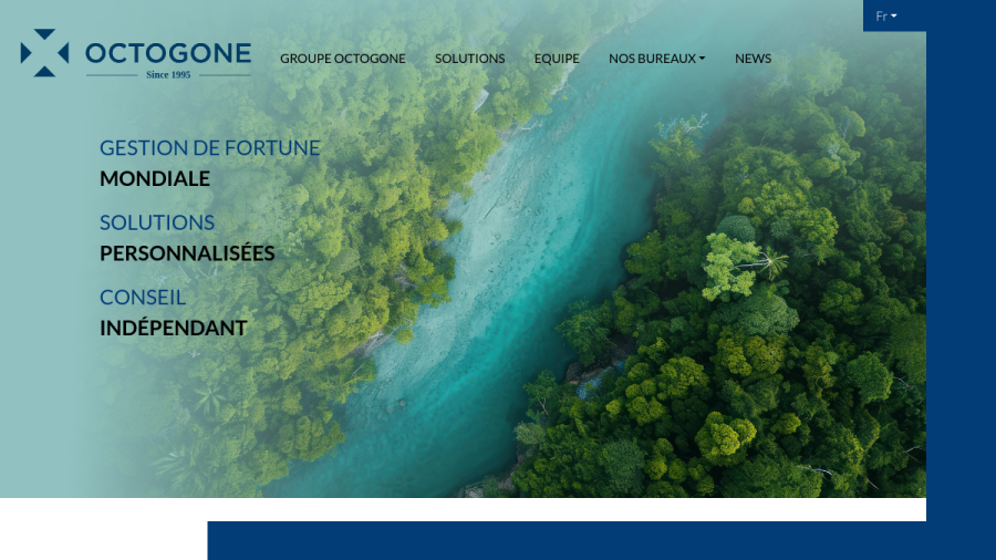 Screenshot of the Octogone Na website