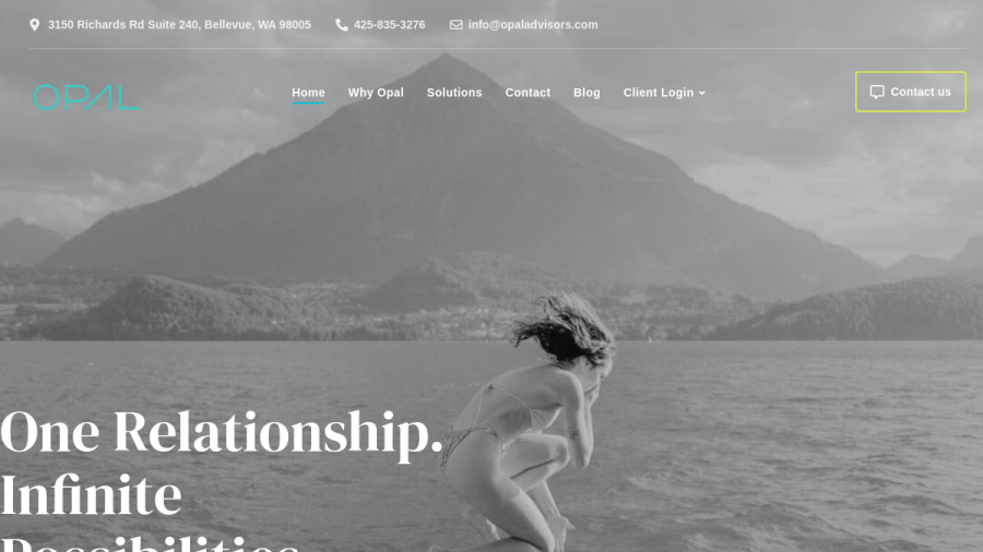 Screenshot of the Opal Advisors website