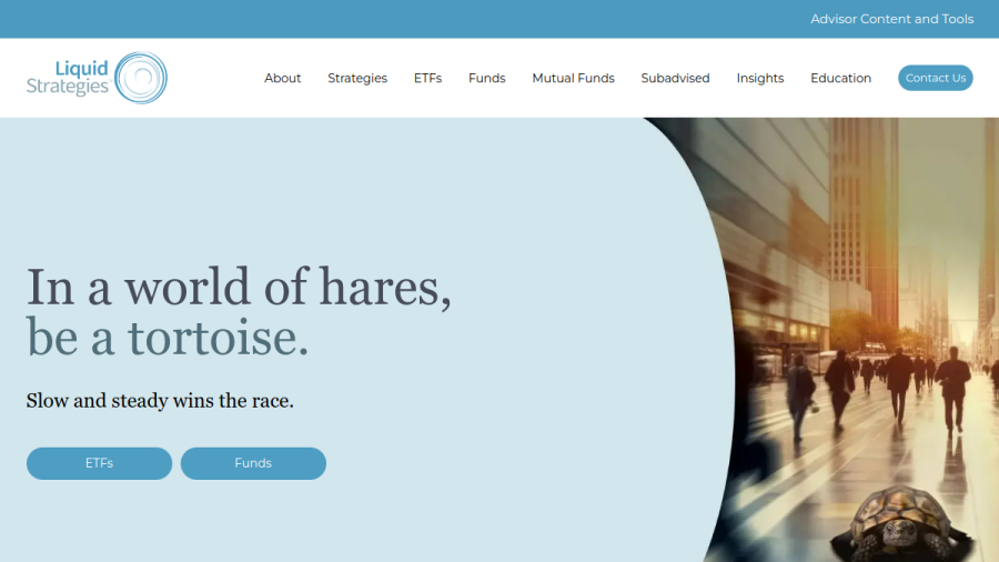 Screenshot of the Liquid Strategies, LLC website