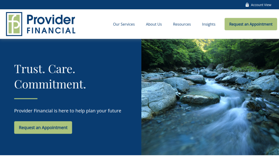 Screenshot of the Provider Financial, INC. website