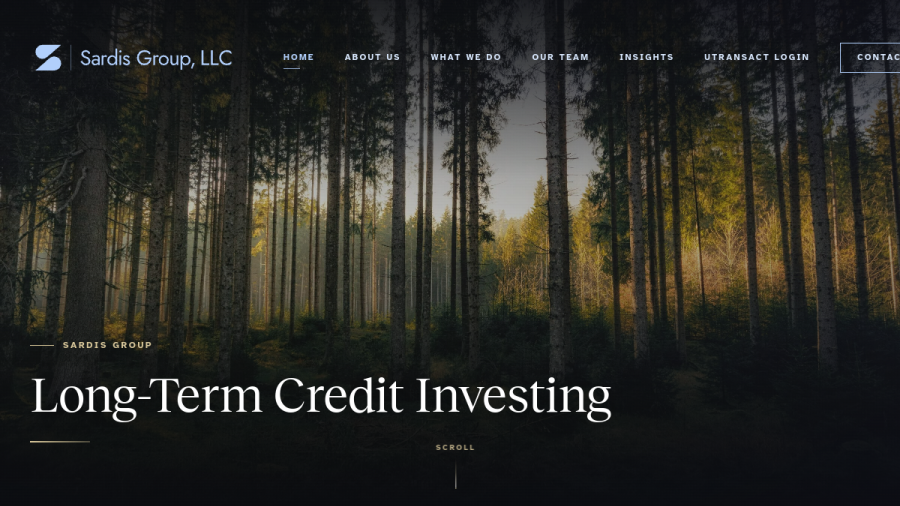 Screenshot of the Sardis Group, LLC website