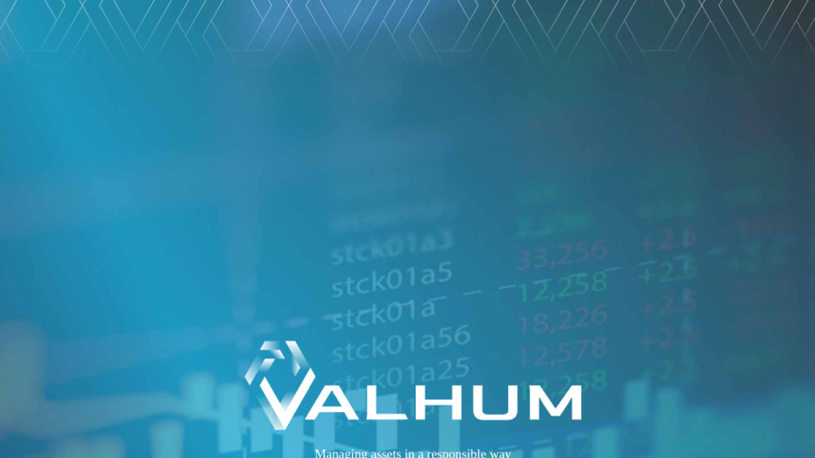Screenshot of the Valhum Asset Management, LLC website
