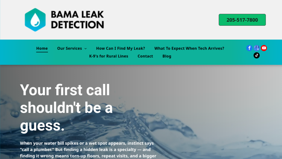 Screenshot of the Bama Leak Detection LLC website
