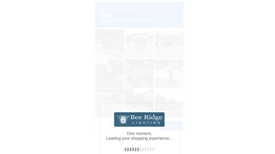 BEE RIDGE LIGHTING website