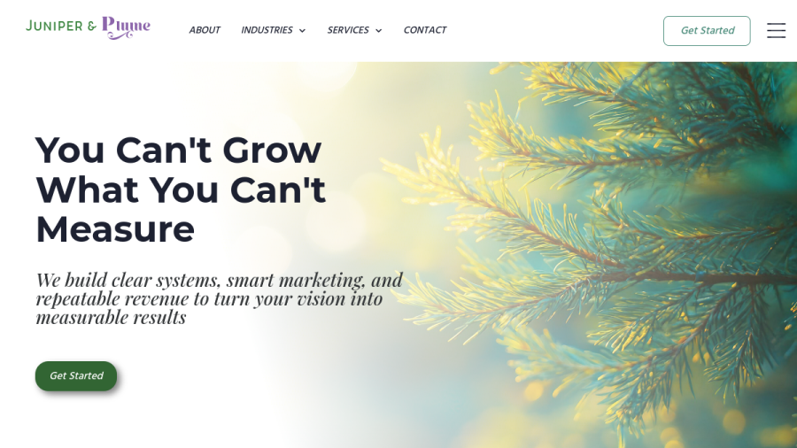 Juniper & Plume website