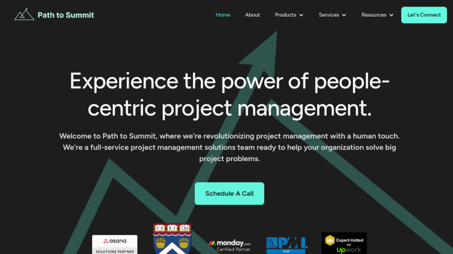 Screenshot of the Project Management Consultant website