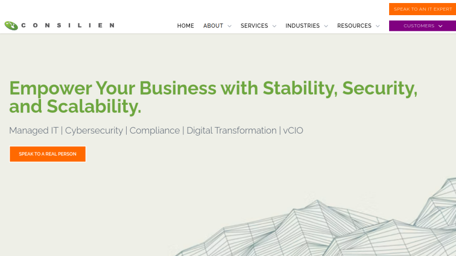 Website screenshot of Consilien