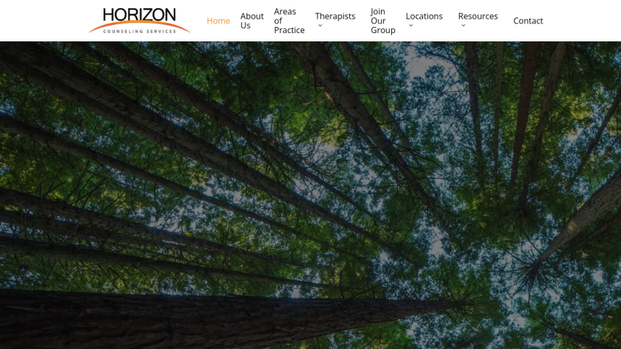 Screenshot of Horizon Counseling Services website