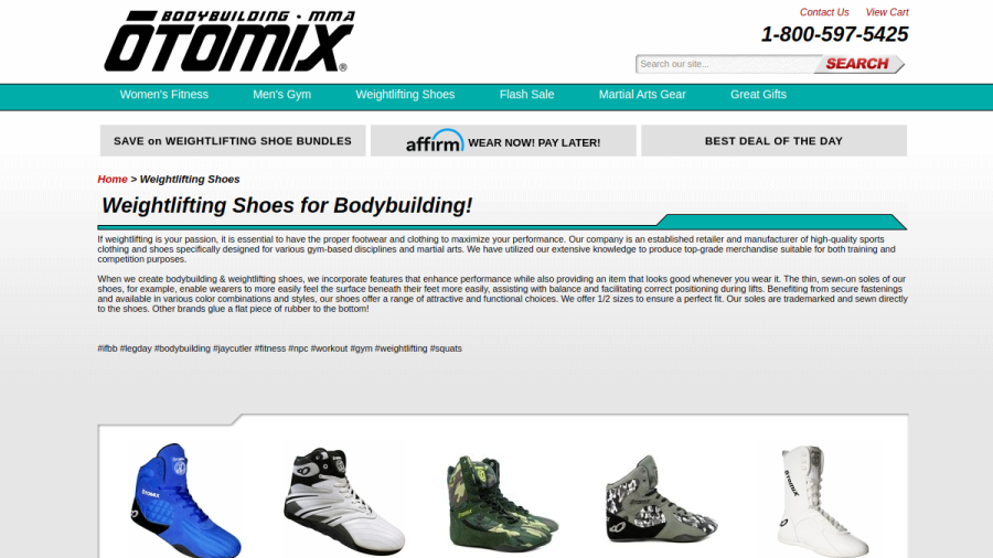 Website screenshot of Otomix