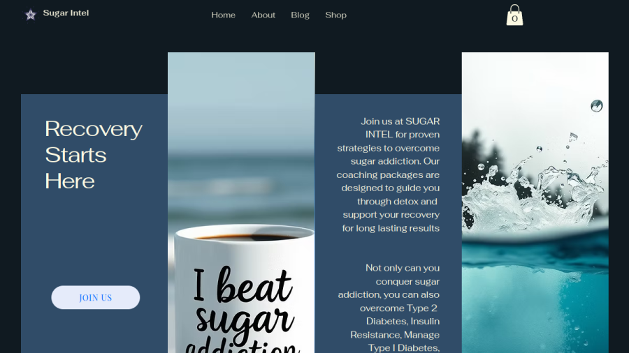 Screenshot of the Sugar Intel website