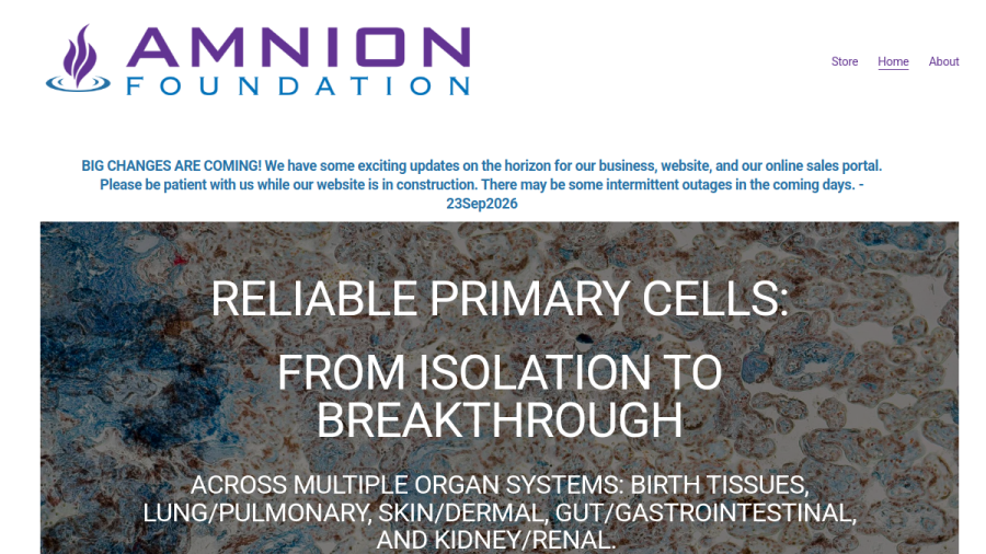 Screenshot of the Amnion Foundation website