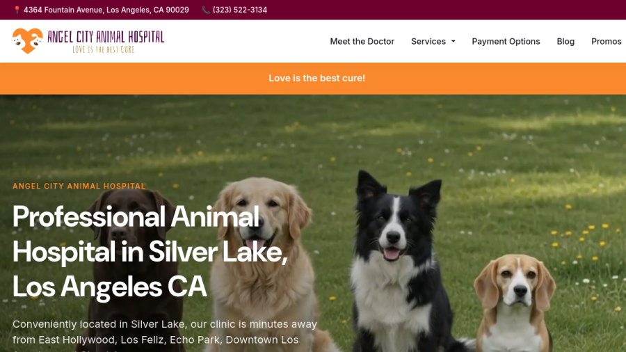 Screenshot of the Angel City Animal Hospital website