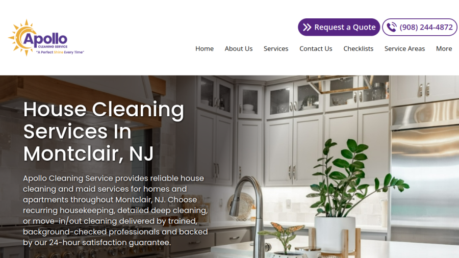 Apollo Cleaning Service website screenshot