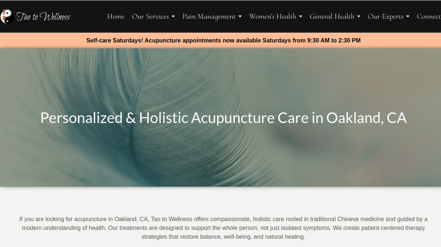 Screenshot of the Tao to Wellness website