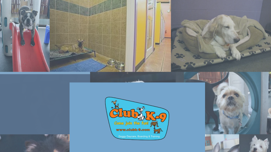 Club K-9 website