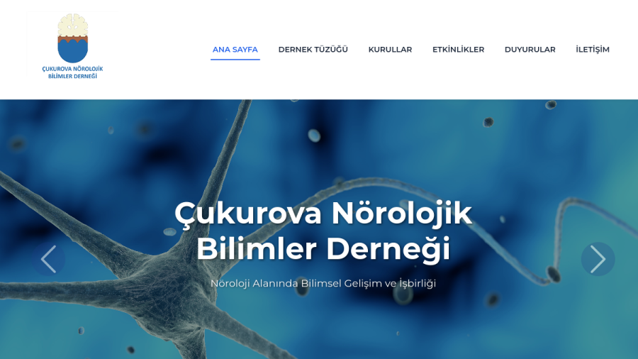 cukurova-noroloji.org ekran görüntüsü