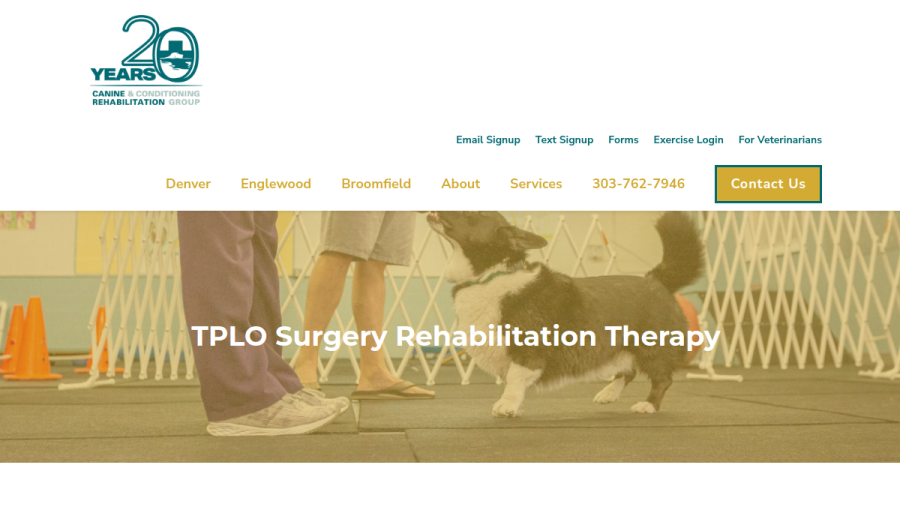 Dog Knee Surgery Recovery Denver CO website