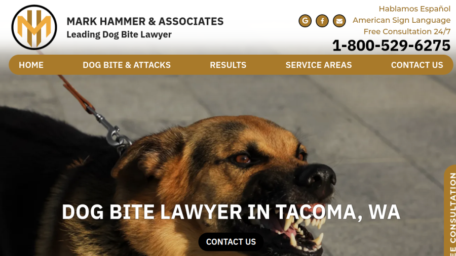 Mark A. Hammer & Associates website