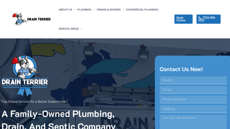 Screenshot of the Drain Terrier website