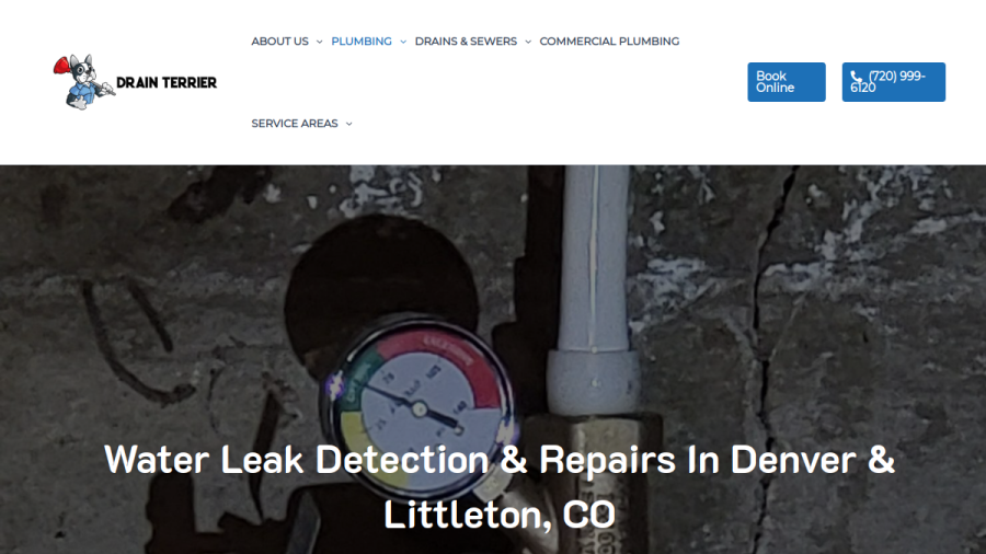 Screenshot of the Drain Terrier website