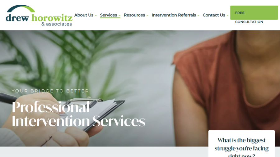 Screenshot of the Drew Horowitz & Associates, LLC website