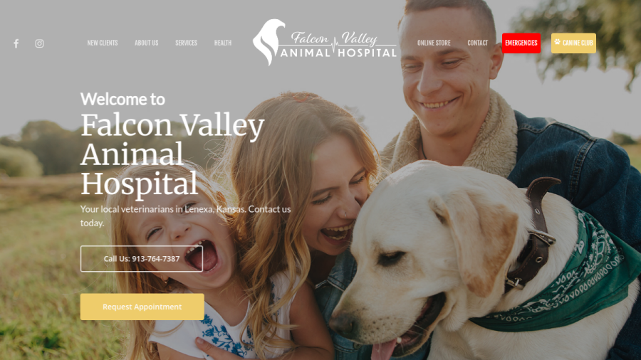 Falcon Valley Animal Hospital website screenshot