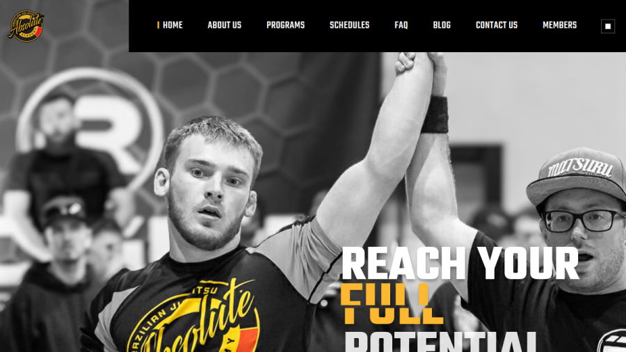 Absolute Brazilian Jiu-Jitsu website